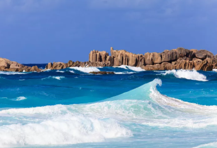 塞舌爾公司逾期年審有什么后果？